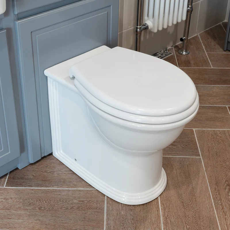 Windsor Rimless Back to Wall Toilet & Soft Close Seat
