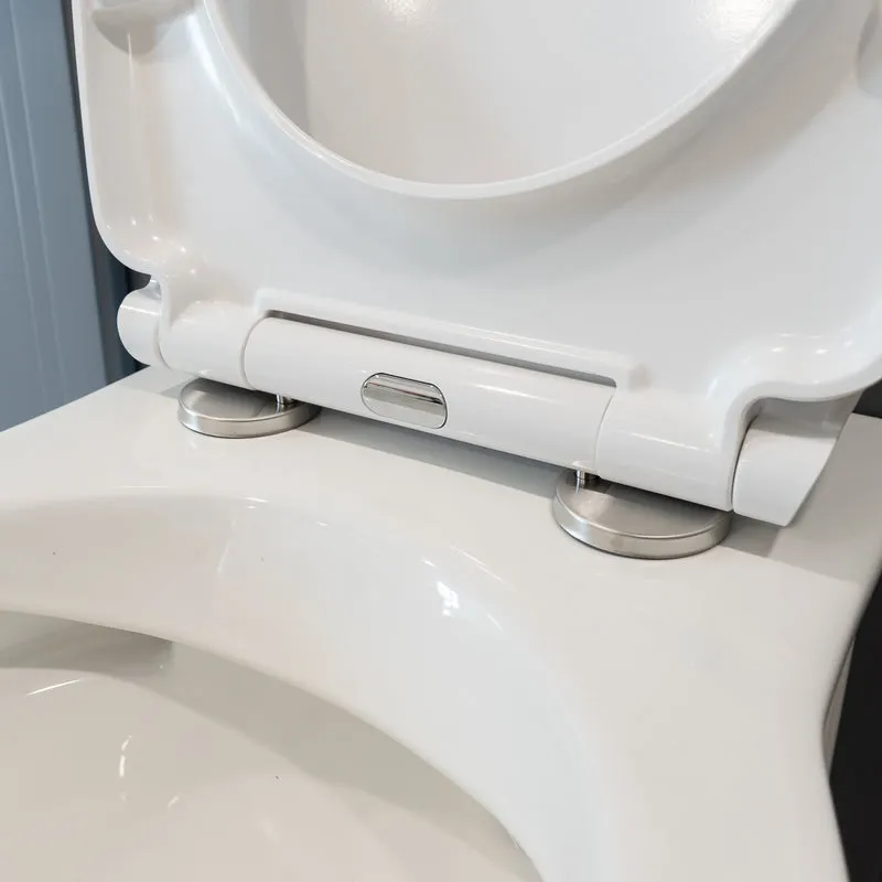Windsor Rimless Back to Wall Toilet & Soft Close Seat