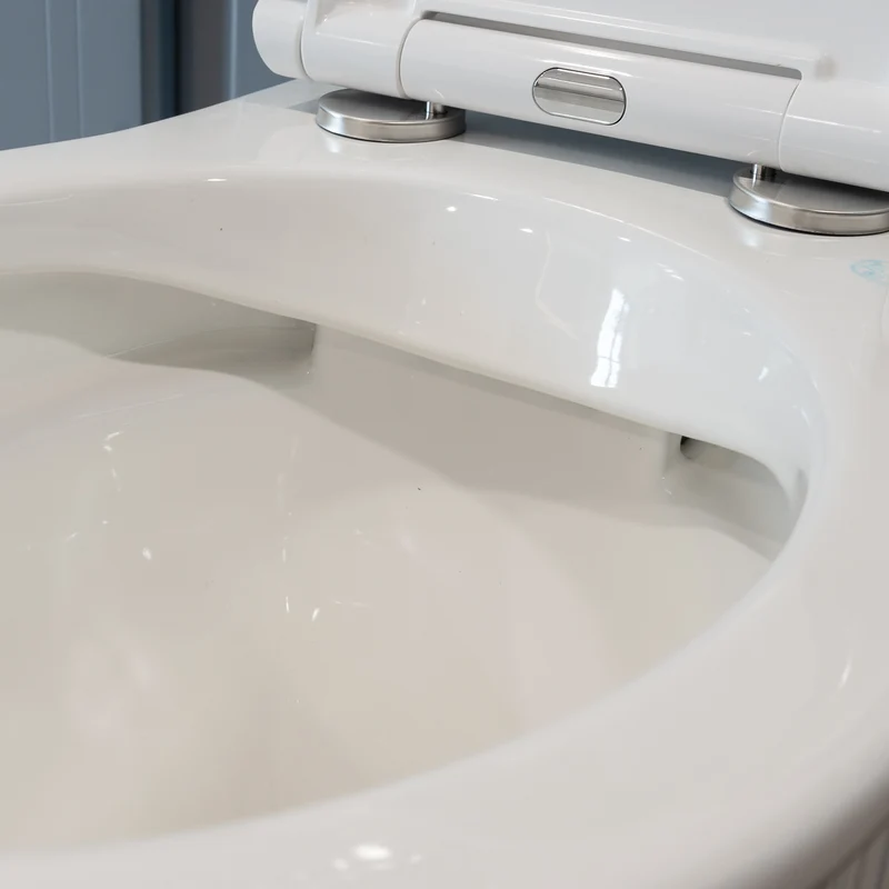 Windsor Rimless Back to Wall Toilet & Soft Close Seat