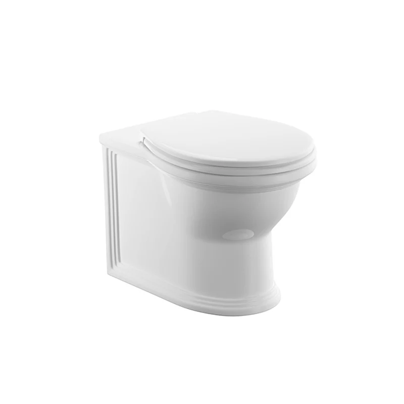 Windsor Rimless Back to Wall Toilet & Soft Close Seat