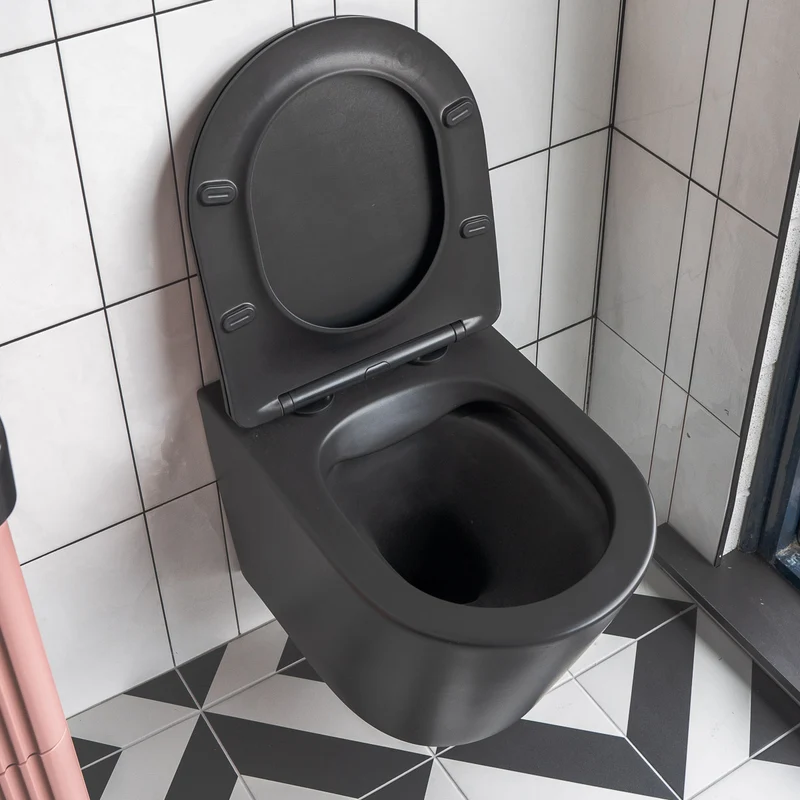 Arc Wall Hung Toilet & Soft Close Seat - Matt Black