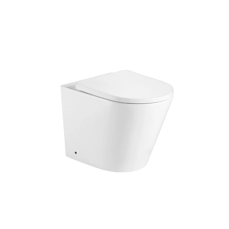 Arc Rimless Back to Wall Pan & Soft Close Seat