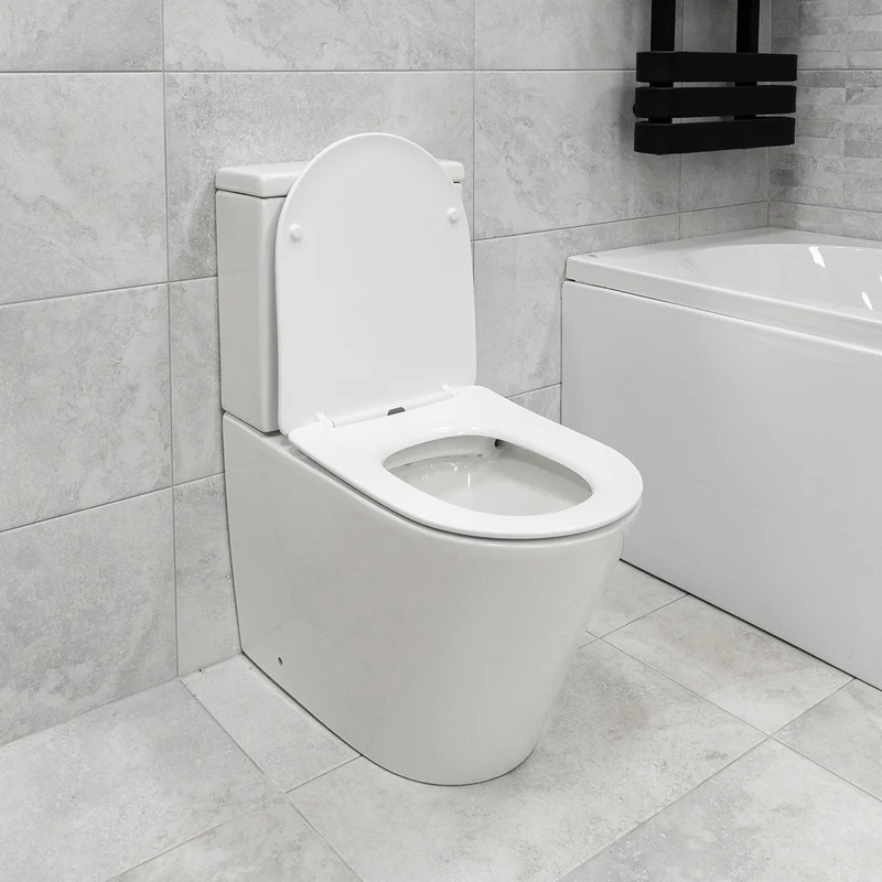 Arc Rimless Fully Back to Wall Toilet & Soft Close Seat