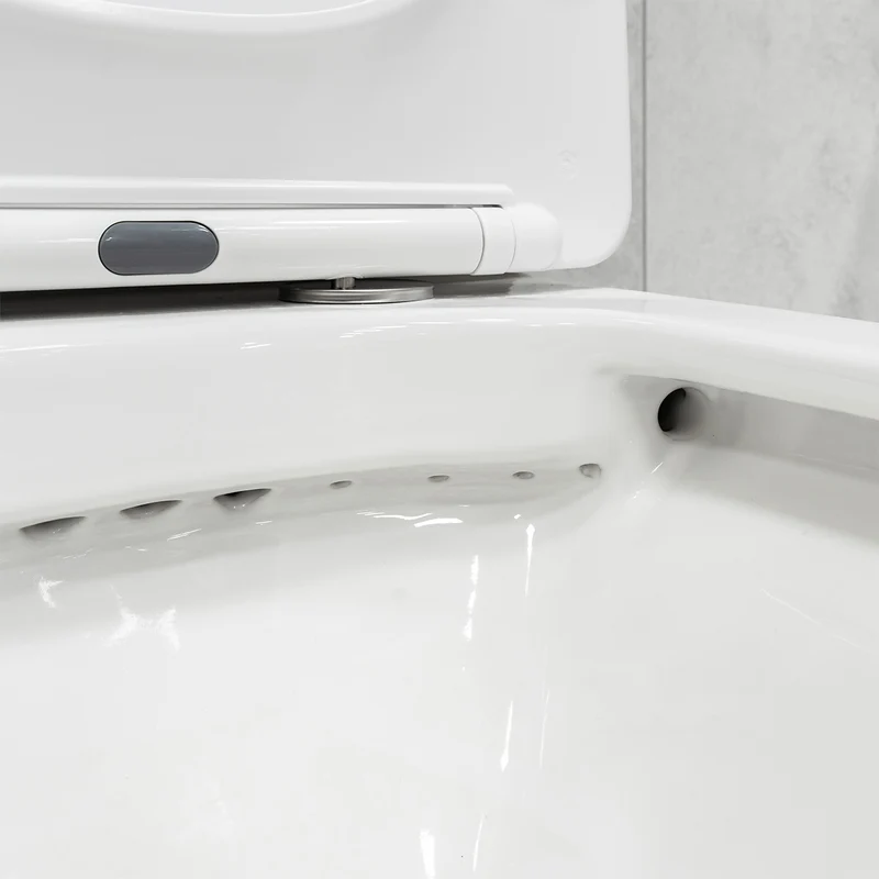 Arc Rimless Fully Back to Wall Toilet & Soft Close Seat