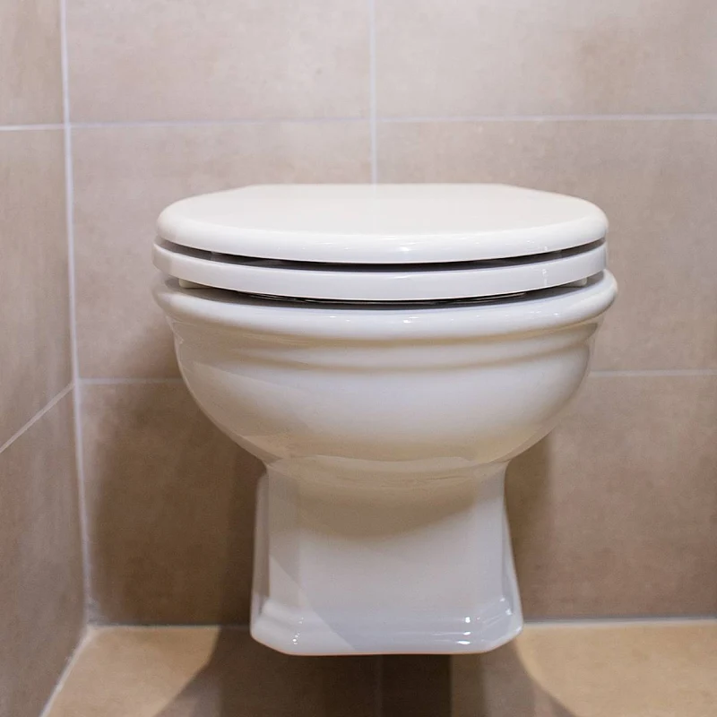Olympia Impero Wall Hung Toilet & Soft Close Seat