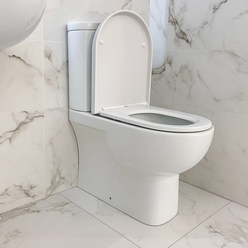 Rak Tonique Fully Back to Wall Toilet with Soft Close Seat