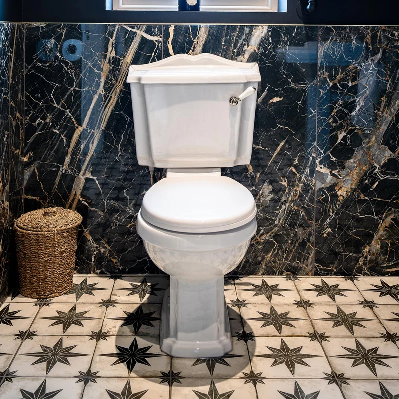 Legend Traditional Close Coupled Open Back Toilet & Standard Seat