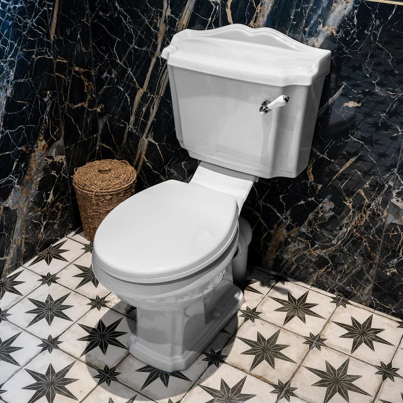 Legend Traditional Close Coupled Open Back Toilet & Standard Seat