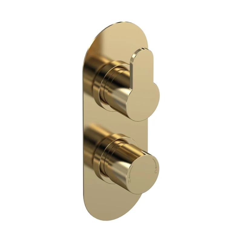 Nuie Arvan Twin Thermostatic Valve Contemporary Brushed Brass Brass ABS 215x80x136mm