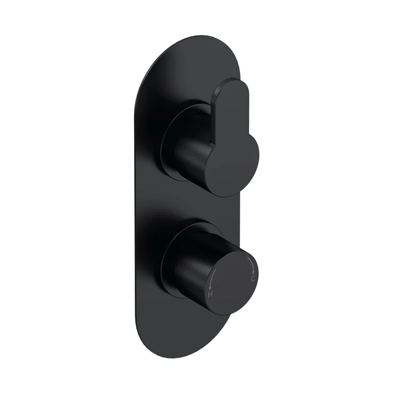 Nuie Arvan Twin Thermostatic Valve Contemporary Matt Black Brass ABS 215x80x136mm