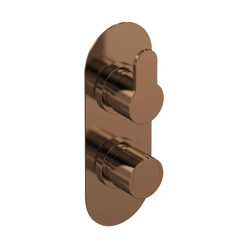 Nuie Arvan Twin Thermostatic Valve With Diverter Contemporary Brushed Bronze ABS,brass 215x80x136mm