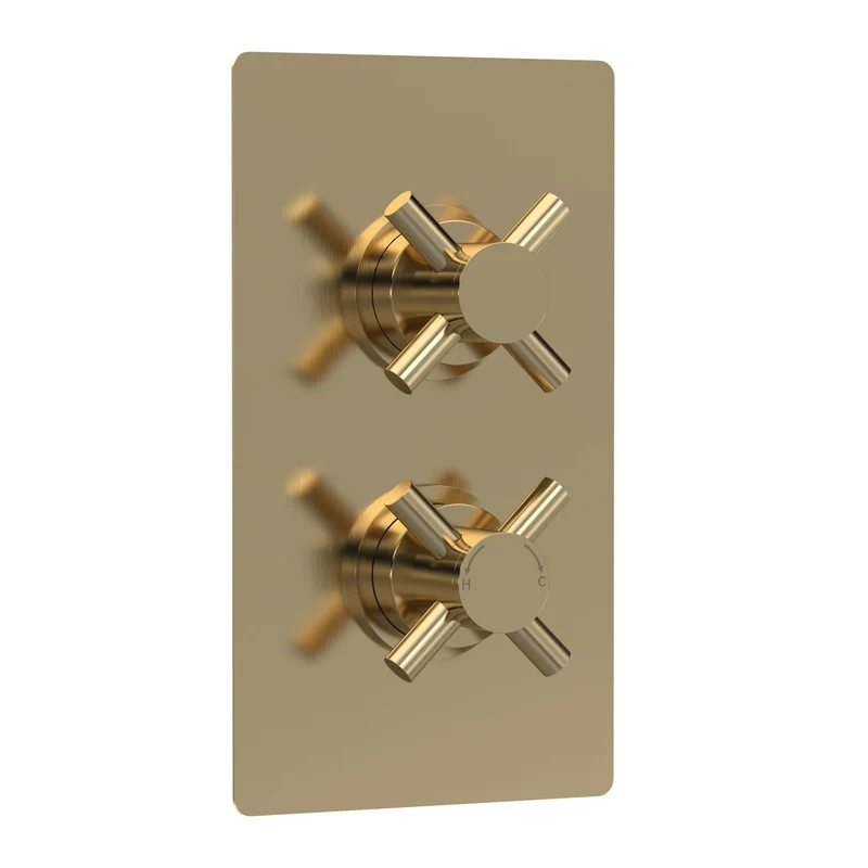 Hudson Reed Tec Cross 1 Outlet Twin Handle Concealed Thermostatic Shower Valve - Brushed Brass