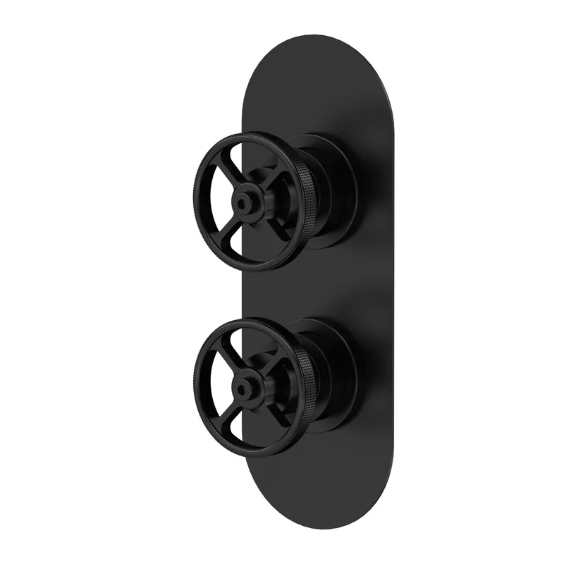 Hudson Reed Revolution 2 Outlet Twin Handle Concealed Thermostatic Shower Valve - Matt Black