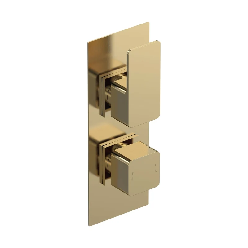 Nuie Windon Twin Thermostatic Valve With Diverter Contemporary Brushed Brass Brass ABS 215x80x135mm