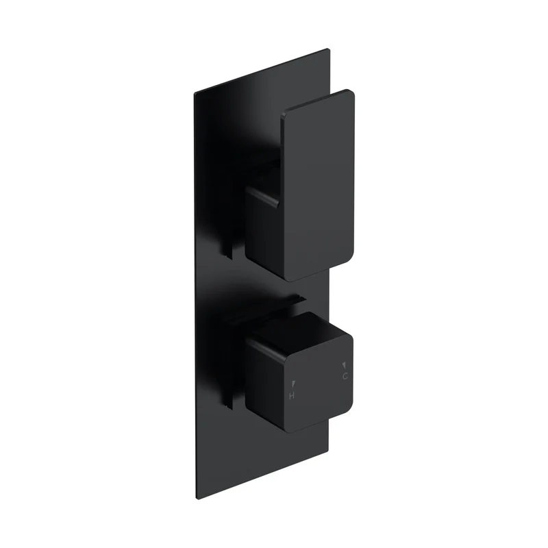 Nuie Windon Twin Thermostatic Valve With Diverter Contemporary Matt Black Brass ABS 215x80x135mm