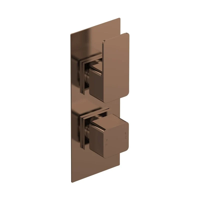Nuie Windon Twin Thermostatic Valve With Diverter Contemporary Brushed Brass ABS,brass 215x80x135mm
