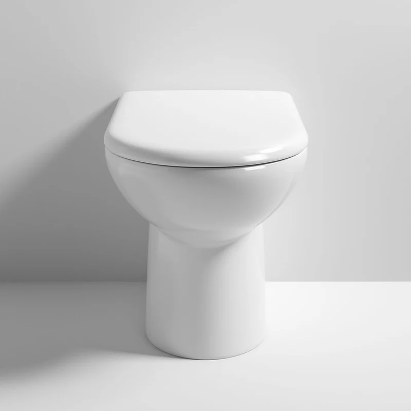 Hudson Reed D Shape Comfort Height Back To Wall Toilet & Soft Close Seat
