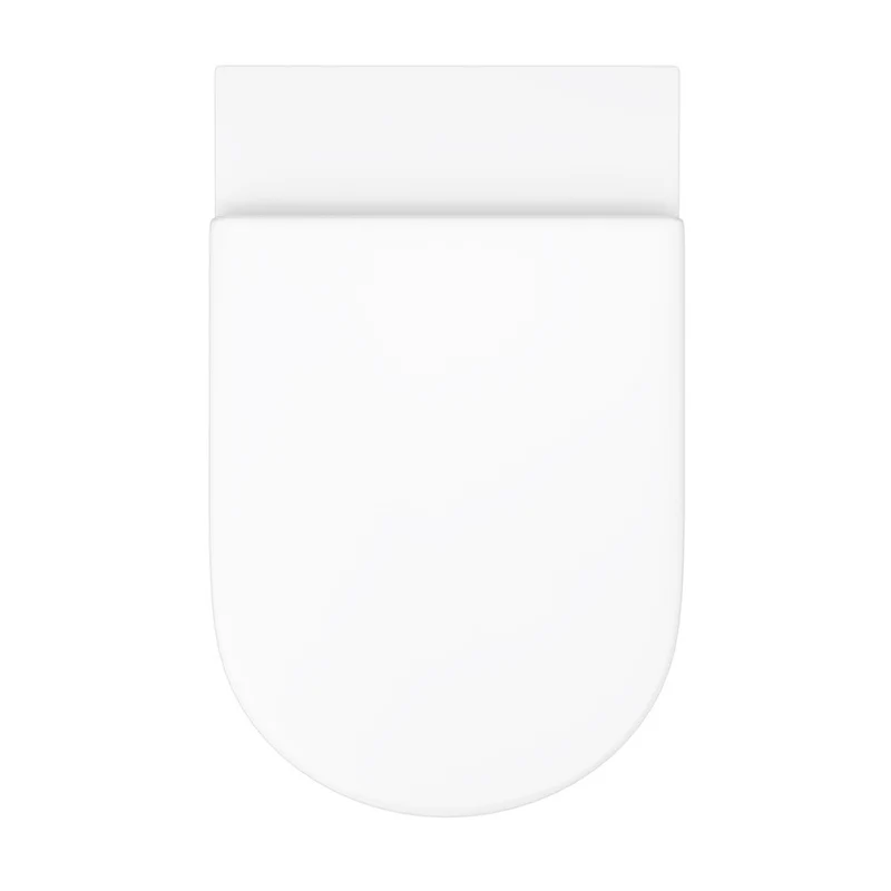Hudson Reed Luna Back To Wall Toilet & Soft Close Seat