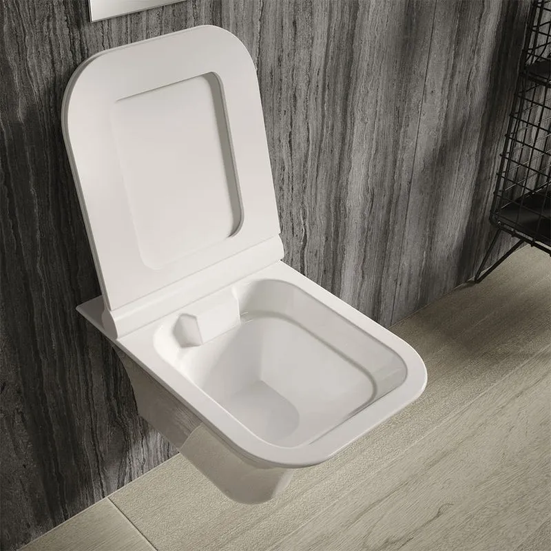 Hudson Reed Grace Rimless Wall Hung Toilet & Soft Close Seat