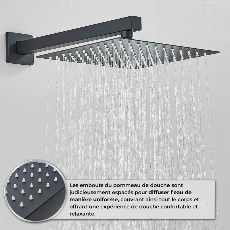 Colonne de Douche Noir 2 Voies