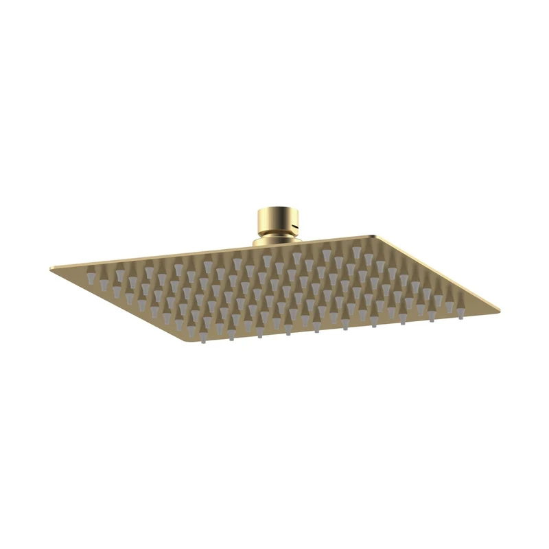 Nuie Fixed Heads Fixed Head Contemporary Brushed Brass Stainless Steel 60x200x200mm