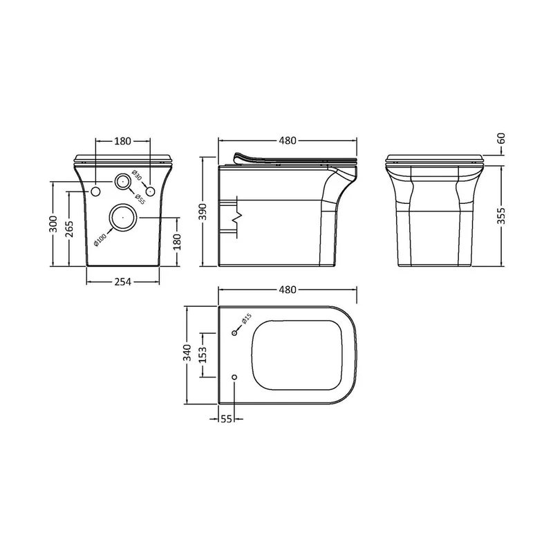 Nuie Ava Wall Hung Pan & Soft Close Seat Contemporary White Vitreous China 390x340x480mm