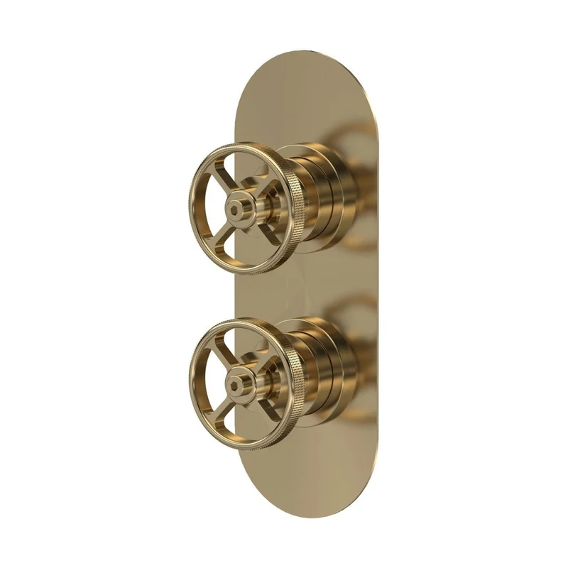 Nuie 2 Outlet Valves Twin Valve With Diverter Traditional Brushed Brass Brass ABS 215x80x143mm