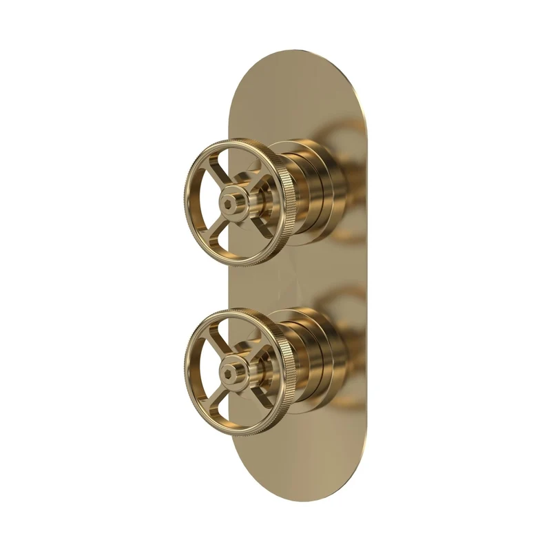 Nuie 1 Outlet Valves Twin Valve Traditional Brushed Brass Brass ABS 215x80x136mm