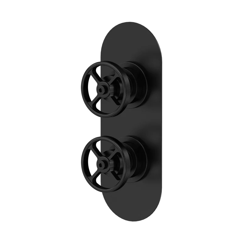 Nuie 2 Outlet Valves Twin Valve With Diverter Traditional Matt Black Brass ABS 215x80x143mm
