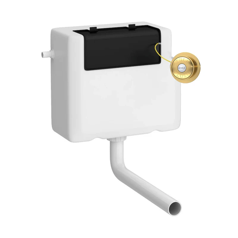 Universal Access Dual Flush Concealed Cistern With Side Inlet & Traditional Flush Button - Brushed Brass