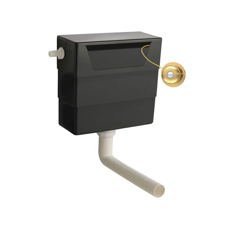 Universal Access Dual Flush Concealed Cistern With Side Inlet & Traditional Flush Button - Brushed Brass