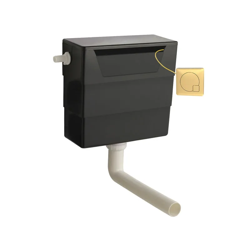 Universal Access Dual Flush Concealed Cistern With Side Inlet & Square Flush Plate - Brushed Brass