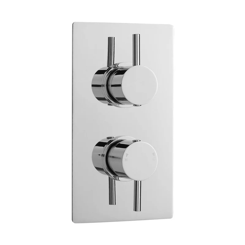 Nuie Twin Thermostatic Shower Valve Contemporary Chrome Brass ABS 215x120x135mm