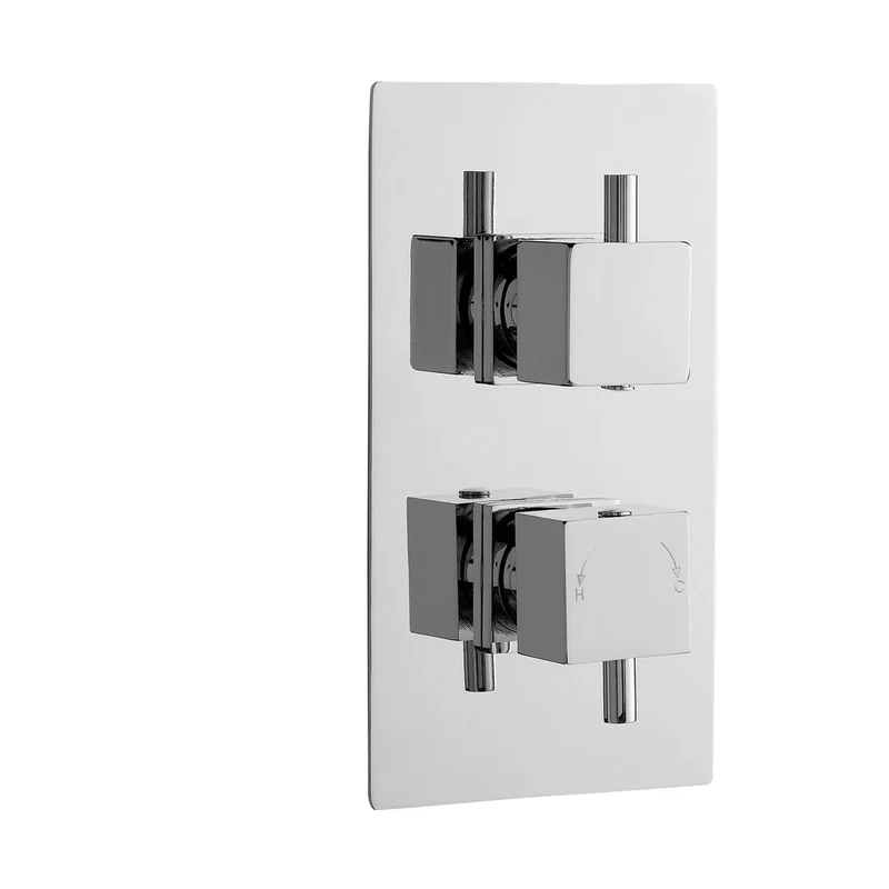 Nuie Twin Thermostatic Shower Valve Contemporary Chrome Brass ABS 215x120x133mm