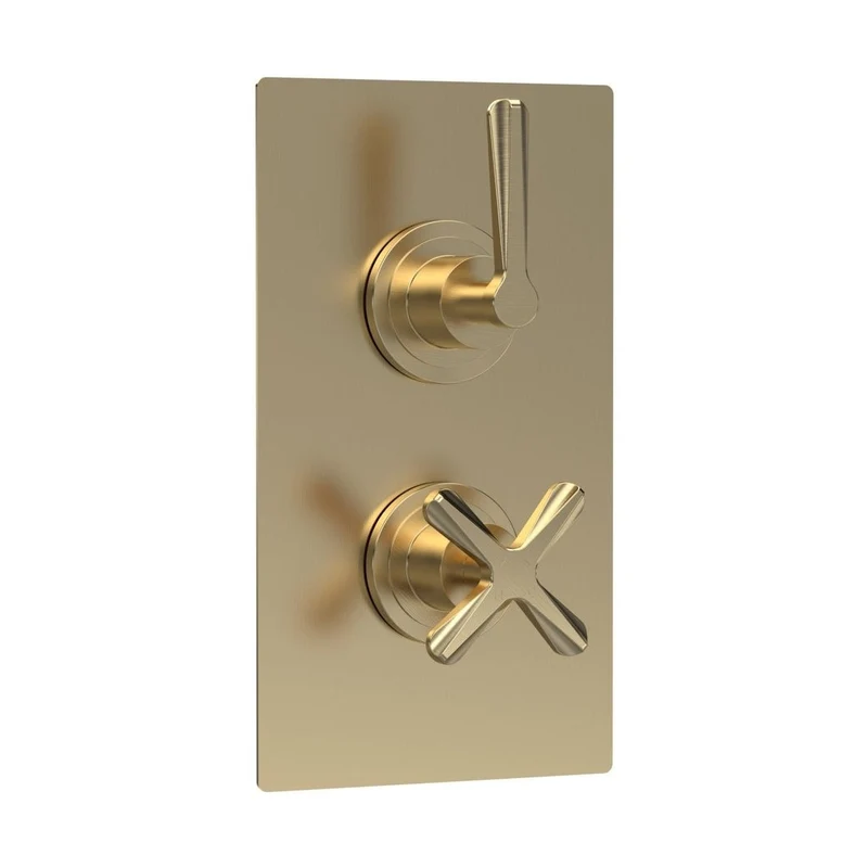 Nuie Aztec Twin Thermostatic Shower Valve Contemporary Brushed Brass Brass ABS 215x120x138mm