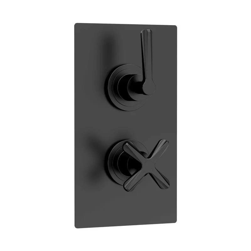 Nuie Aztec Twin Thermostatic Shower Valve Contemporary Matt Black Brass ABS 215x120x138mm