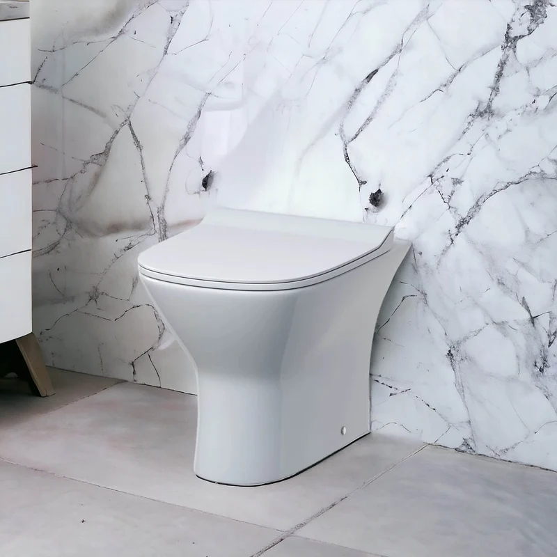 Lana Rimless Back To Wall Toilet & Soft Close Seat