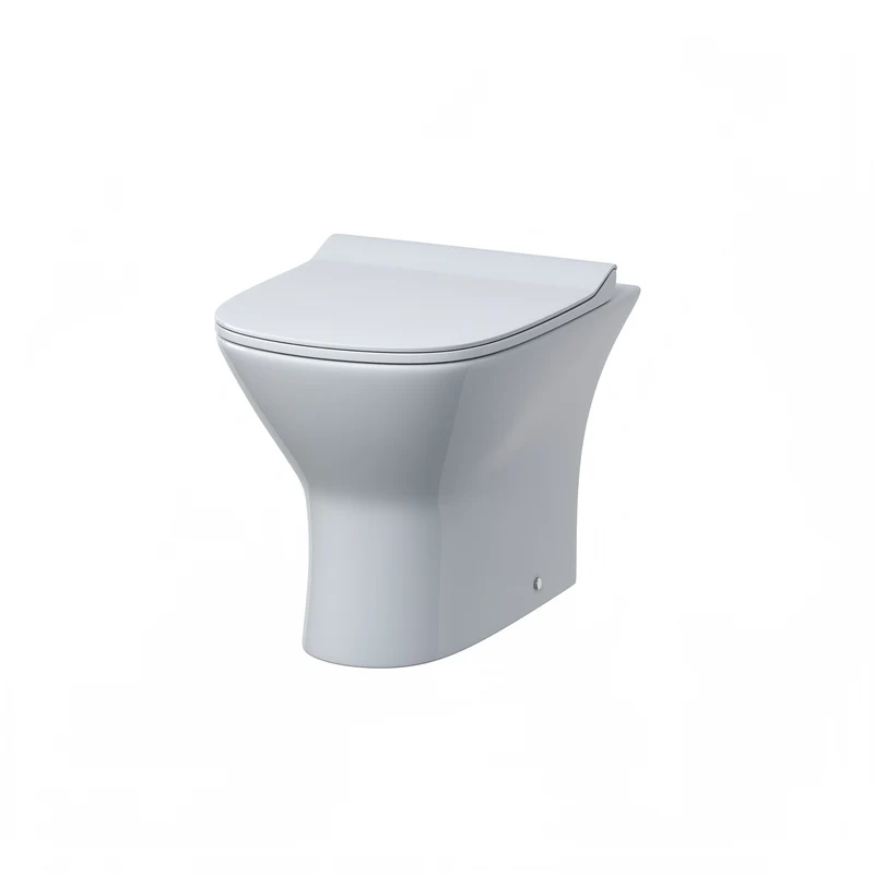 Lana Rimless Back To Wall Toilet & Soft Close Seat