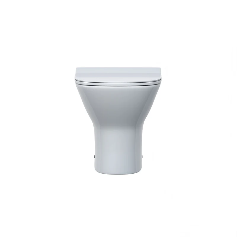 Lana Rimless Back To Wall Toilet & Soft Close Seat