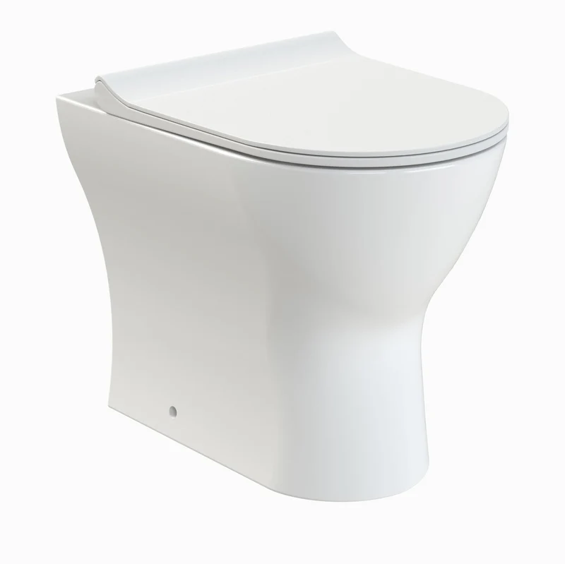 Lana Rimless Back To Wall Toilet & Soft Close Seat
