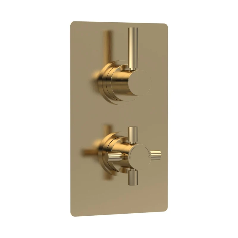 Hudson Reed Tec Pura Twin Thermostatic Shower Valve Contemp Brushed Brass Brass Abs 215x120x137mm