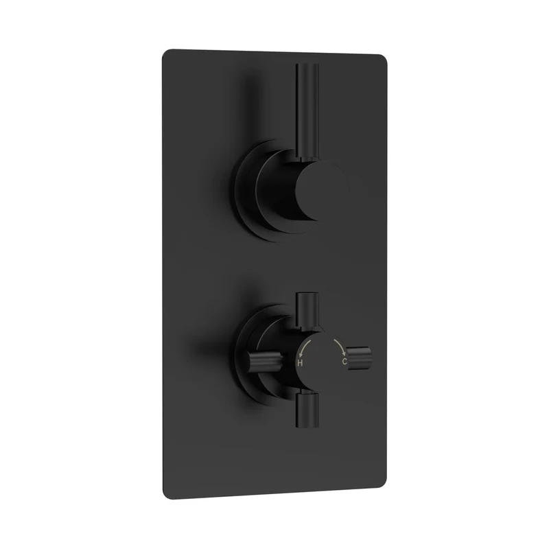 Hudson Reed Tec Pura Twin Thermostatic Shower Valve With Diverter Contemp Matt Black Brass Abs 215x120x137mm
