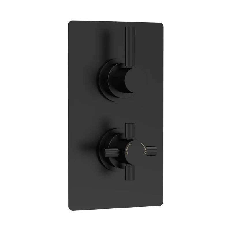 Hudson Reed Tec Pura Twin Thermostatic Shower Valve Contemp Matt Black Brass Abs 215x120x137mm