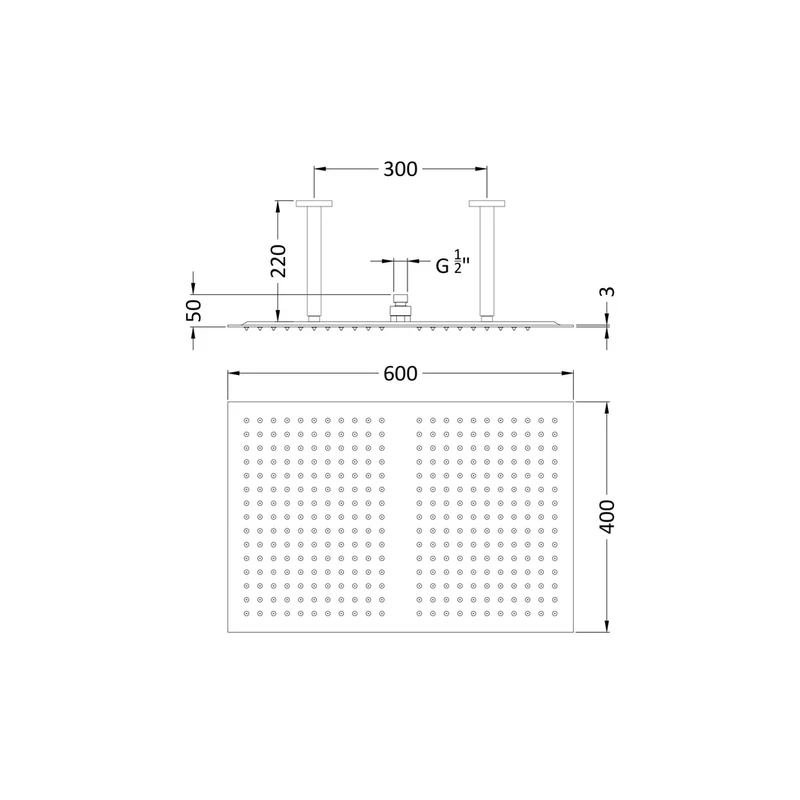 Hudson Reed Fixed Heads Ceiling-mounted Fixed Head Contemp Chrome Stainless Steel 220x400x600mm