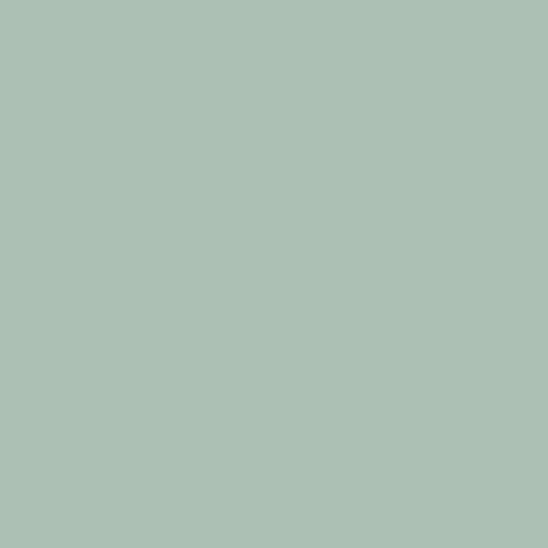CE. SI. - Aloe Mat