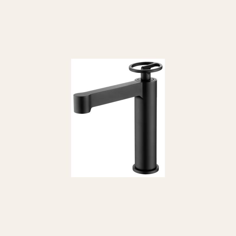 Mitigeur de Lavabo - Olimpo Noir Mat