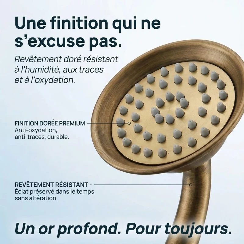 Pommeau de douche doré vintage à buses motif fleur