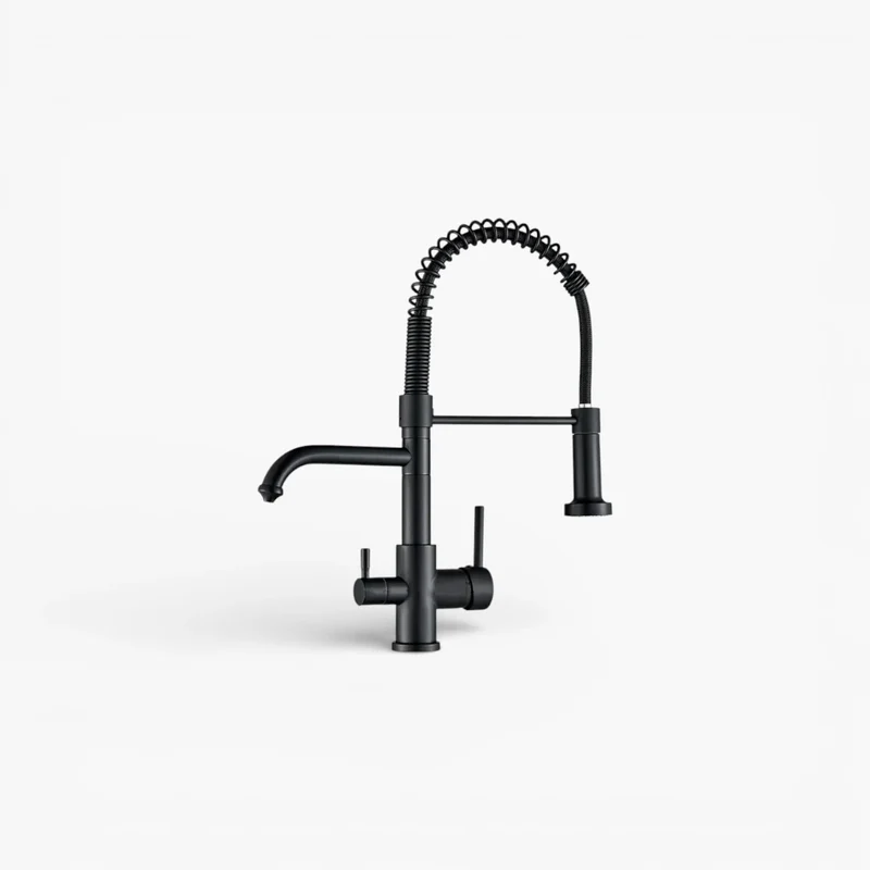 Robinet évier cuisine mitigeur douchette purificateur d'eau - Noir - Laiton
