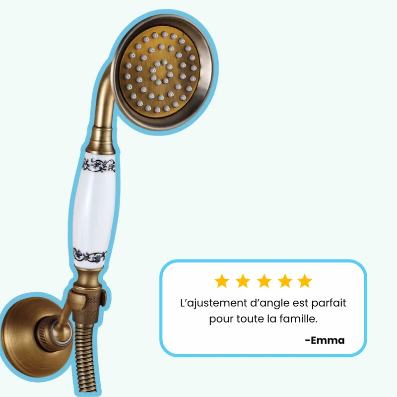 Pommeau de Douche Retro En Laiton Brossé Décoré