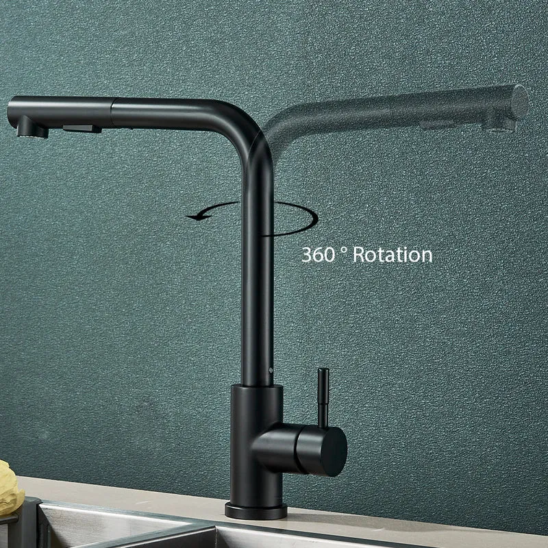 Robinet Lavabo avec Douchette Extractible en Acier Inoxydable